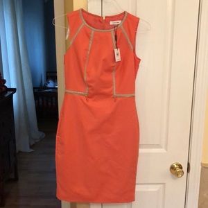 NWT Calvin Klein rose shift dress w/ snake trim